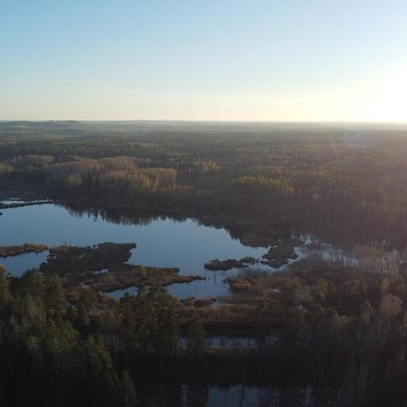 Mieszkanie Nad Jeziorem Rydzowka+Prywatny Staw+Plaza+Mazury Srokowo Luaran gambar