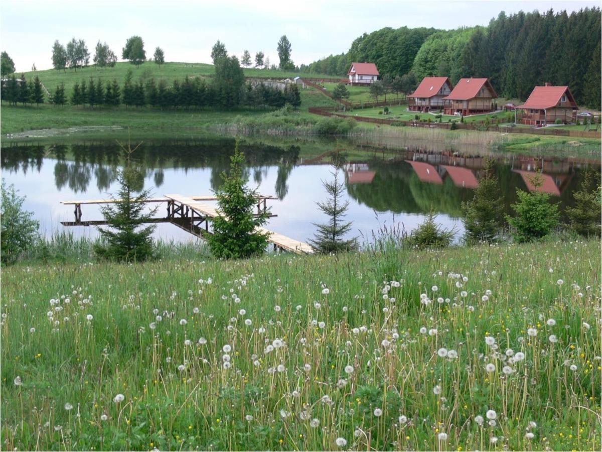 Mieszkanie Nad Jeziorem Rydzowka+Prywatny Staw+Plaza+Mazury Srokowo Luaran gambar